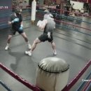 고잔복싱 이미지