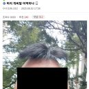 헤어갤러리 이미지
