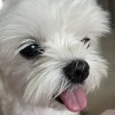 기분좋은마트