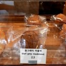 유들렌