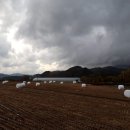 서석식당 이미지