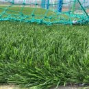 수진축구장 이미지