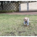 양산유치원 이미지