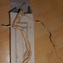 행복을다리는집 이미지