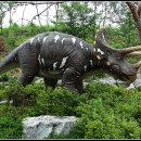 덕소자연사박물관 이미지