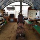 공자의 식탁, 풍석의 밥상 이미지