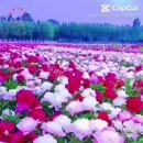 주신밥상 이미지