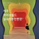 해피 | 하리보해피월드 다녀왔는데.. 생각보다 어른이 더 신난 제주도 해피월드 후기