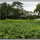 고매파출소 | 일지암, 북미륵암, 녹우당, 운림산방, 미황사, 백련사