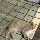 엽떡 땡긴다 ㅋ