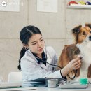 위풍댕댕 이미지