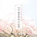 비스킷미디어 이미지