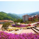 동강시스타 이미지