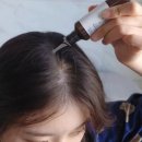 데이나 네이버블로그
