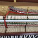 신항초등학교 이미지