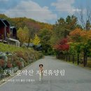 가을 단풍 명소 아이 숲체험 운악산 자연휴양림 연립동