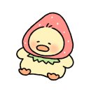 으뜸50안경 오목교점 이미지