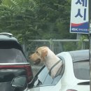 씨유 천서리점 | 다시는 성수기에 강원도 안간다