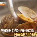 내고향맛칼국수 이미지