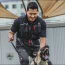 주식회사 보듬컴퍼니 이미지