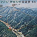 갈라산 티스토리