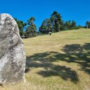 박안건 묘소 이미지