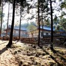 알프스랜드 이미지