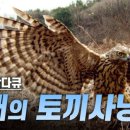 토끼사냥 네이버블로그