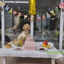 깜미슈퍼 이미지