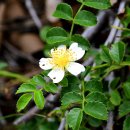 산야산업 이미지