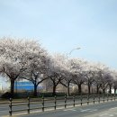 시민로 ~ 보건소앞 이미지