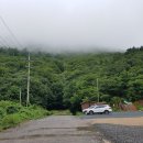 배내배내 이미지