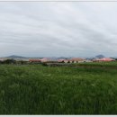 제주 올레길 10-1코스 이미지