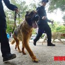 금수원 이미지