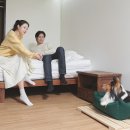 멍멍스쿨 이미지