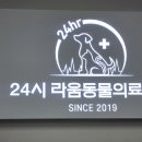 24시 라움동물의료센터 이미지