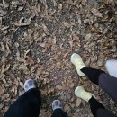 혜남학교 | 부산 2025년 광안리 불꽃축제 명당 황령산 봉수대 사자봉 * 2026년을 위한 꿀팁