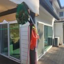 금강송면사무소 이미지