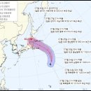 제8호 태풍 네파탁(NEPARTAK) 이미지