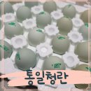 통일청란 이미지