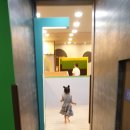 헬로방방호평 이미지