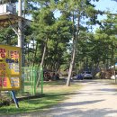 청포대숲속야영장 이미지