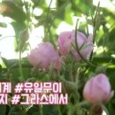 넘버5 (N.5)