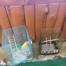 뫼골산장 이미지