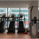 올데이 짐 이미지