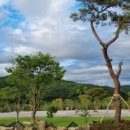 소리의섬 이미지