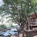 참살이황토집 | 제천 명암 산채 건강 마을을 힐링 체험 후기