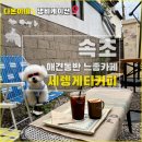 속초애견 더 이쁘개 | 속초 애견동반 감성 카페 - 세렝게티 커피 강아지랑 함께 다녀온 후기!