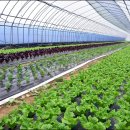 길중농장 이미지