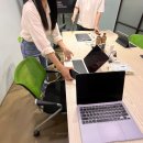 (주)밥먹자 팩토리 | [D+2]전지적 인턴 시점_스나이퍼팩토리 UX/UI 인턴형 프로그램 8기